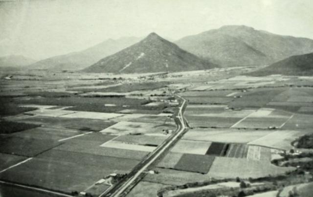 Aerial view of Gordonvale and surrounding cane farms, 1954